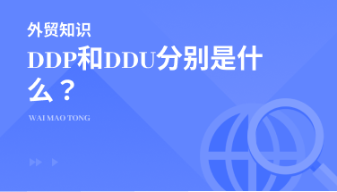 DDP和DDU分别是什么？