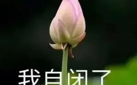 亚马逊或将上线这功能，这是要卷死的节奏呀！