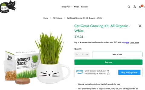 Buy with Prime上线1年，亚马逊对Shopify的“企图”还未达成