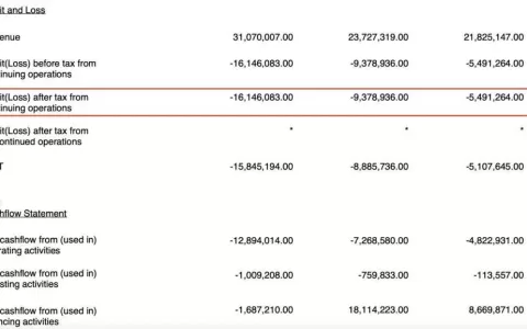 TikTok在东南亚碰到硬茬了