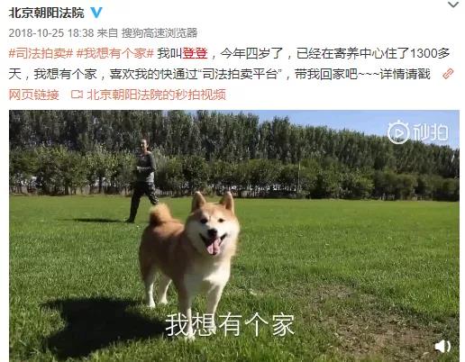 时隔14年再出手！新APP上线，阿里又添一员猛将！