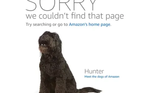 又挂一个！亚马逊卖家半年来的艰辛谁懂？