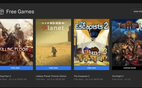 开发者之怒：订阅付费引发“游戏贬值”灾难，助长平台垄断