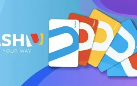 跨境电商如何选择中东当地支付公司？