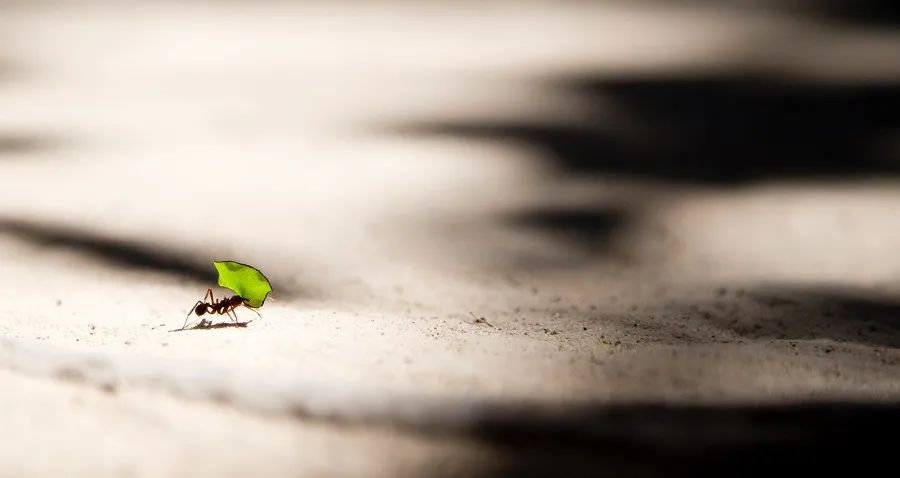 真不是钱的事？这四点，才是中小游戏厂商“心腹大患”