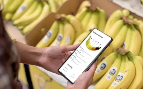 全新中东消费者行为研究：本地产品将更受青睐