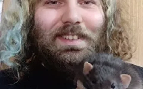 两月涨粉140万，《糖豆人》的社交网络运营为什么这么厉害