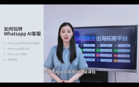 WhatsApp AI自动化客服、24小时自动回复、自动翻译
