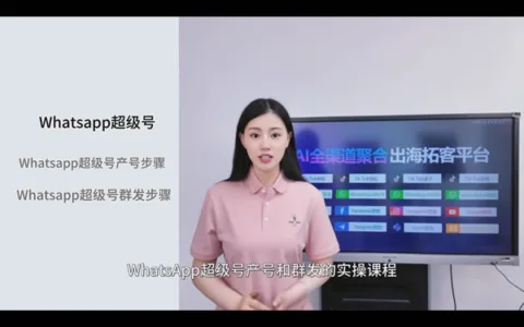 WhatsApp无线生产超级号、每日群发数百条陌生消息