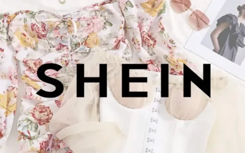 带群雁齐飞，SHEIN式品牌出海