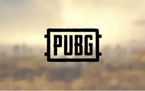 一代经典落下帷幕，知名手游《绝地求生》印度服务器正式关闭