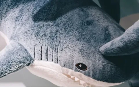 厂家月出数万单、4天吸粉1.2万，“鲨鱼毯”在TikTok卖疯了！