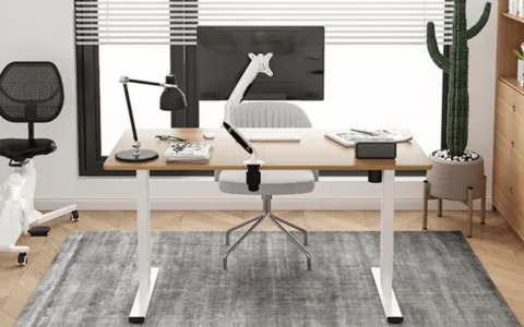 乐歌：从贴牌外贸到造船出海的“单项冠军”