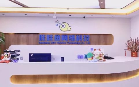 对话哇哇鱼：游戏出海寻突围良机，如何做好精细化买量这门“技术活”？