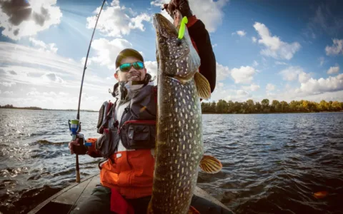 小众国货品牌出海记：创业两年，我尝到了“甜头”