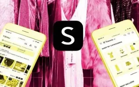 拼多多和字节相继入局跨境电商，行业标杆Shein能否保住先发优势？