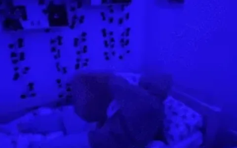 TikTok总曝光3690万次，小卖仅用一个月带出爆品