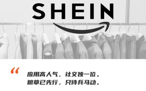 SHEIN的尽头是亚马逊