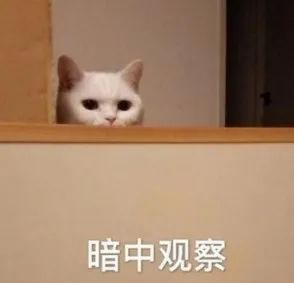 别死盯《羊了个羊》 土耳其团队用表情包做超休闲手游火爆了欧美