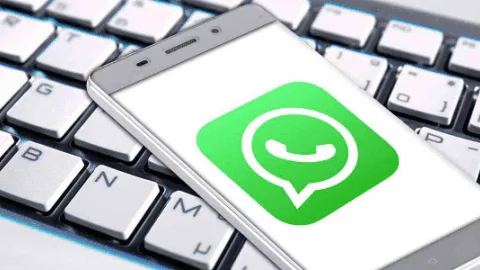 WhatsApp在印度认怂？澄清隐私条款且不会与Facebook分享用户联系方式