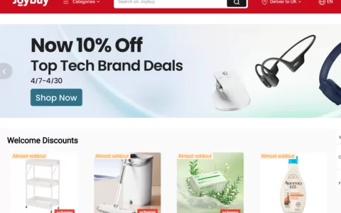 京东出海平台杀入欧洲