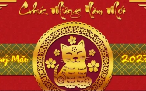 2023越南猫年热卖年货抢先看，花式营销卖家赚翻天！