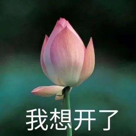 “电子木鱼”的走红，是年轻人焦虑转移的新方式？