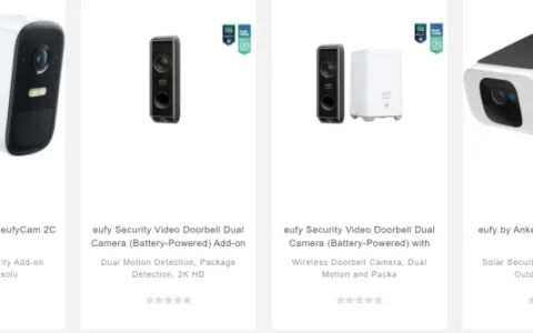 消费电子出海，别跳进安全漏洞的大坑