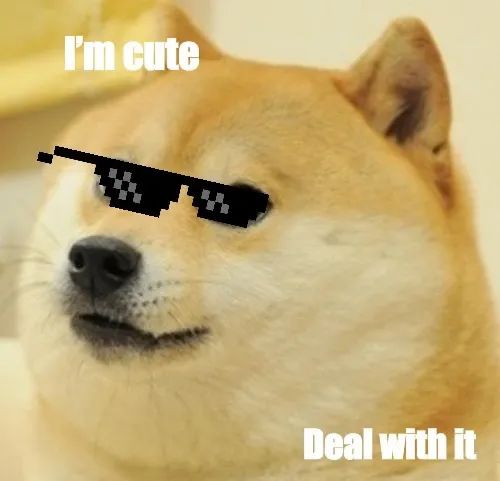 “梗百科”梦碎乌托邦 这个千亿UGC赛道为什么没人敢做？