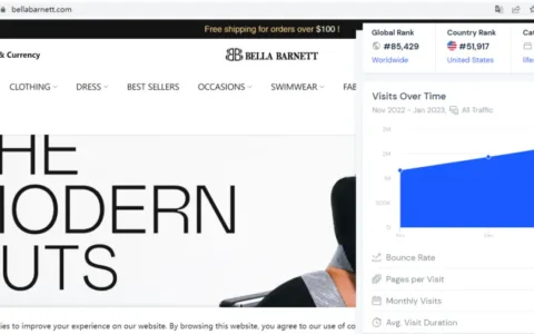 流量破百万的女装独立站！她从连衣裙礼服做起