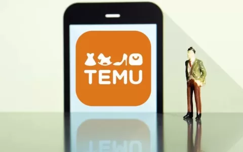 Temu：摸着美国过河