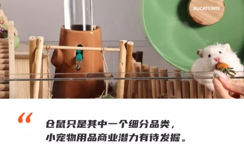 别总盯着猫猫狗狗，小宠物用品出海也是门大生意