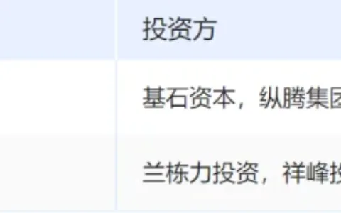 环保鞋履走红全球，DTC品牌VIVAIA为何能成功出海？