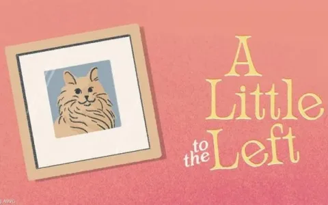 强迫症福音！一款逼死处女座的收纳游戏能激活这个品类吗？