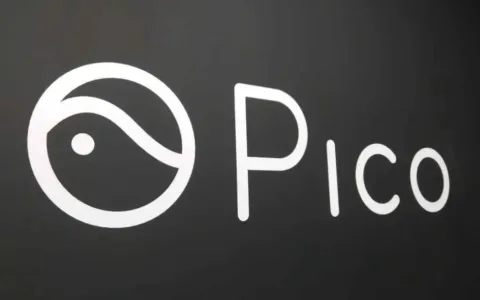 PICO 向左向右的400天