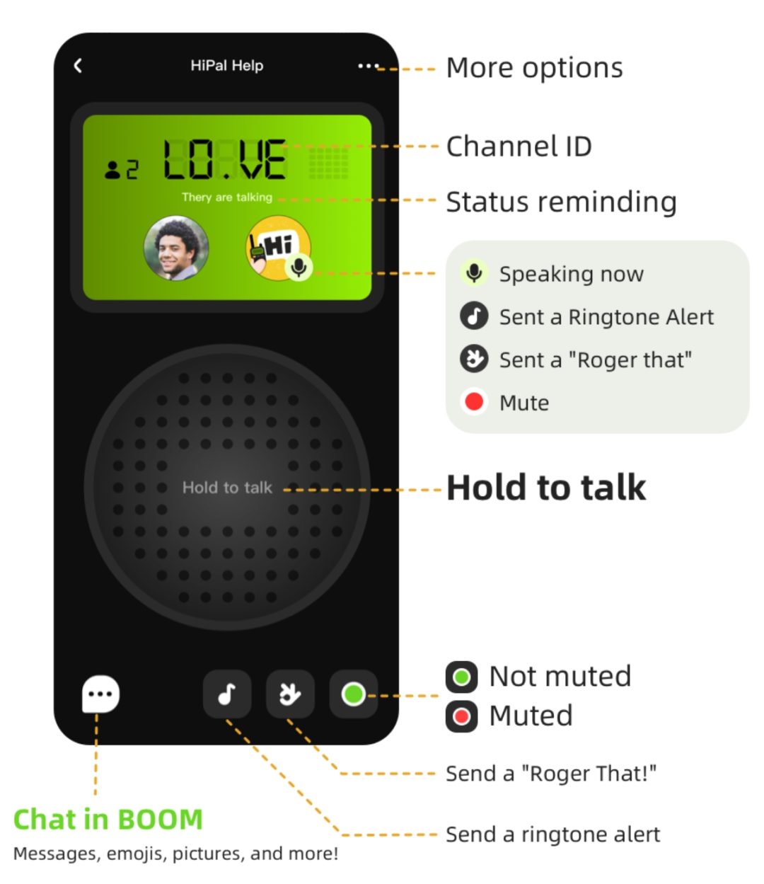 翻红应用登顶12国总榜：Z世代只缺一个“对讲机”？