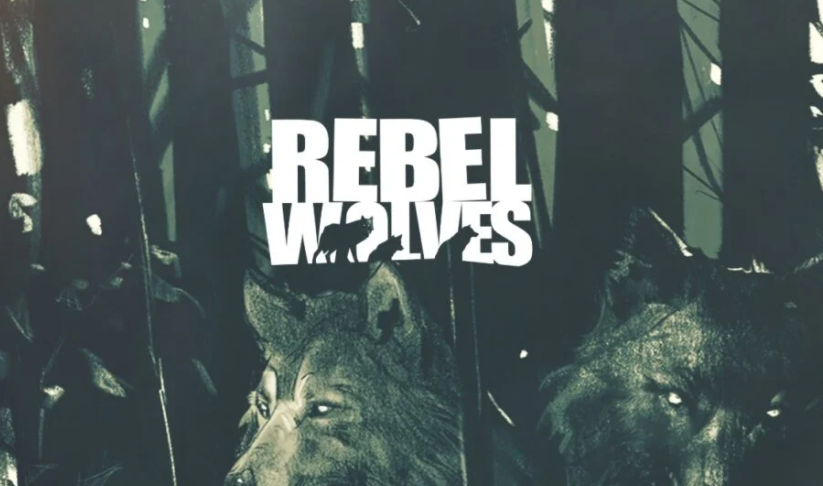 前《巫师3》高管创办，这家波兰工作室获得了网易的投资