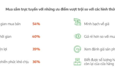 数据调研 | 2022越南网购用户消费行为变化