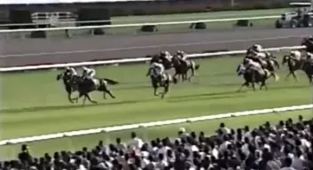 新品观察|利润翻5倍！二次元手游《赛马娘》凭什么横扫日本市场？