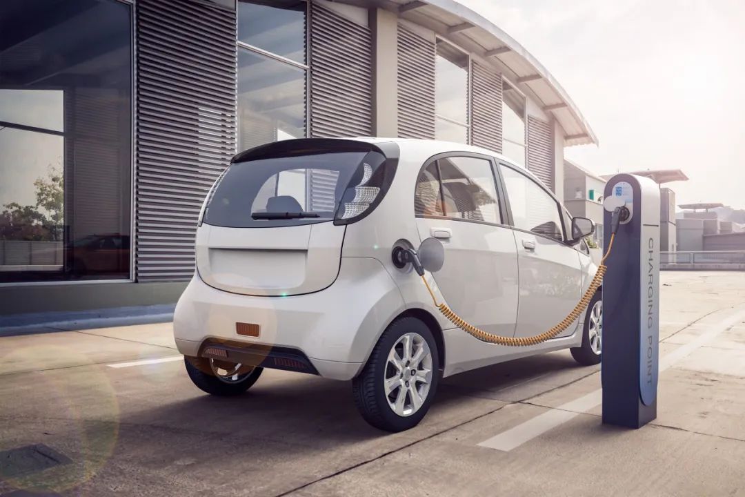 泰国没有冬季，市场没有空隙