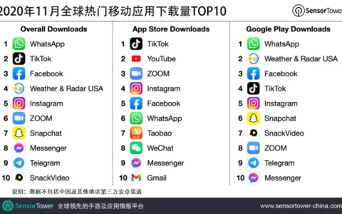 2020年11月全球热门移动应用下载量TOP10