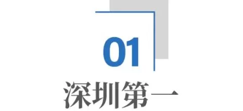 跨境电商，深圳杀疯了