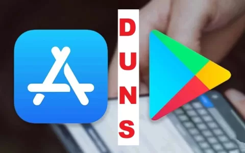 DUNS邓氏编码-APP上架Google和Apple商店