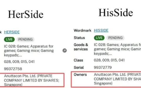 蔡浩宇旗下Anuttacon又一AI游戏？海外注册两个新商标