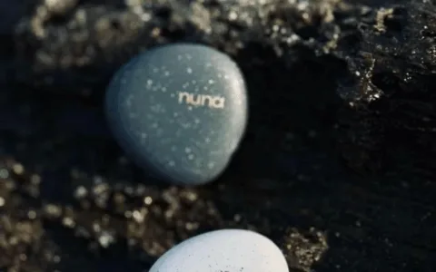 冲击万亿美元市场，中国香港团队打造的AI智能吊坠能否成为高压职场女性的情绪救星？