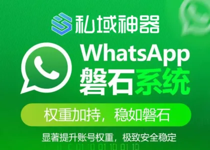 3天快速启动，WhatsApp营销实现日发300条！抢占全球市场就这么简单