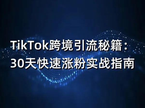 TikTok跨境引流秘籍：30天快速涨粉实战指南