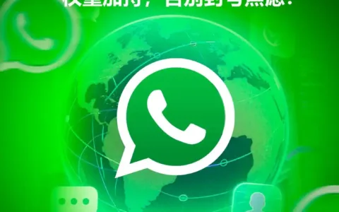解密“不封号”的奥秘：WhatsApp磐石系统的核心防护机制