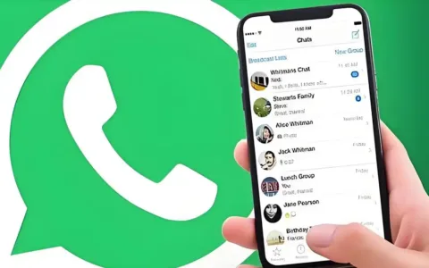 外贸人必备技能！全面测评WhatsApp磐石系统核心功能与应用场景，这些实用技巧让你事半功倍