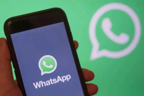 如何找到客户的WhatsApp联系方式，你真的掌握了吗？